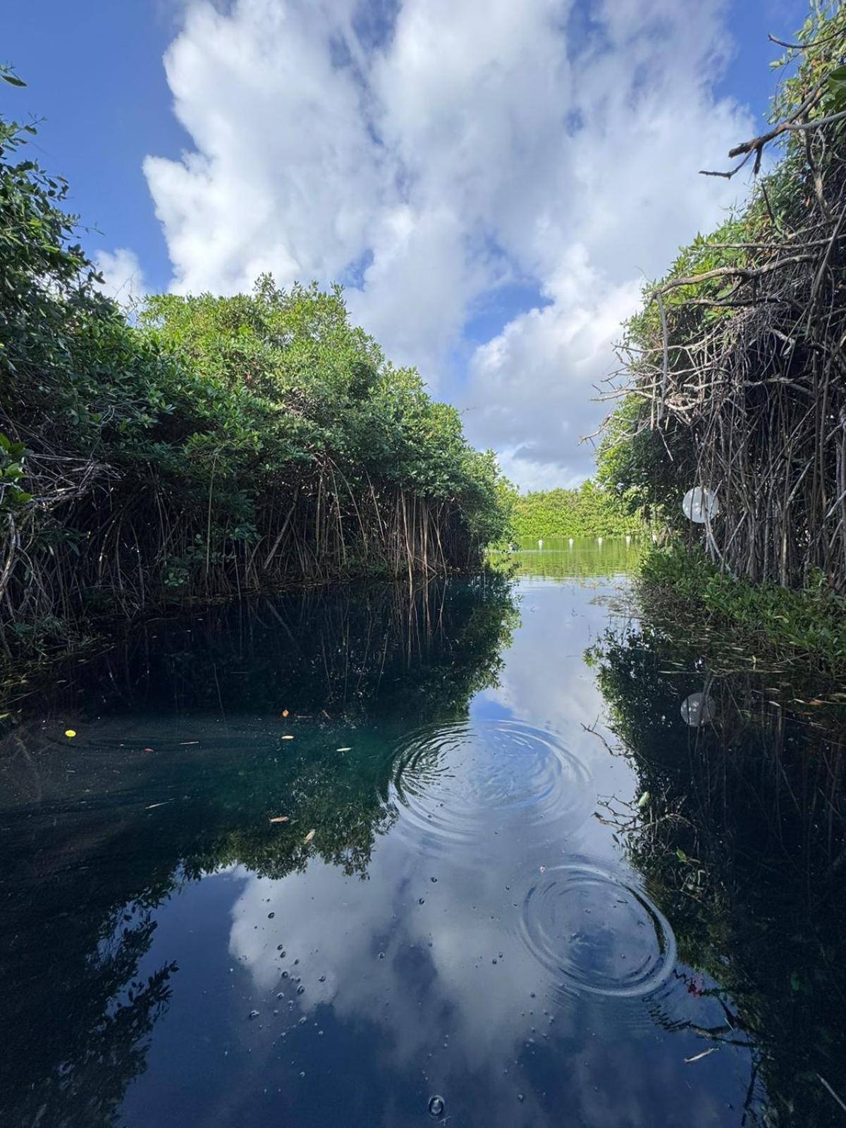Cabanas Tulum - Aldea Mangle & Cenote Bagian luar foto