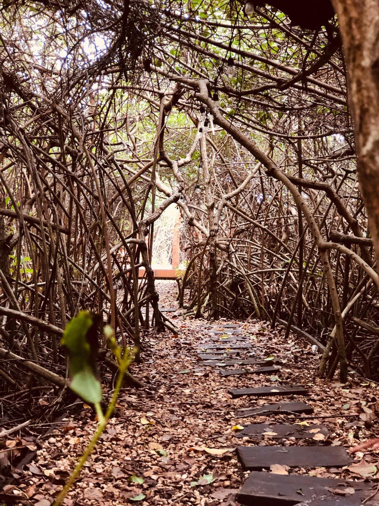 Cabanas Tulum - Aldea Mangle & Cenote Bagian luar foto