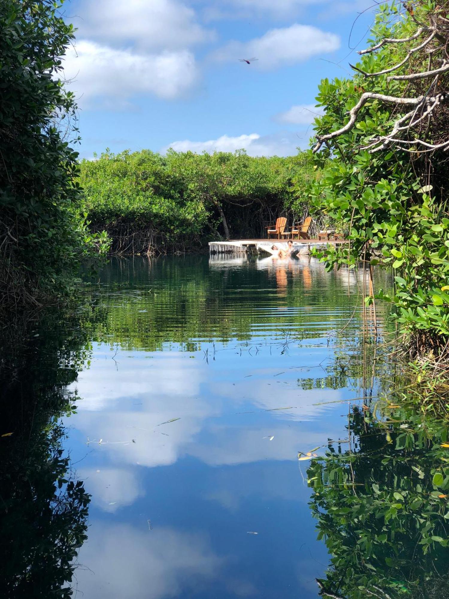 Cabanas Tulum - Aldea Mangle & Cenote Bagian luar foto