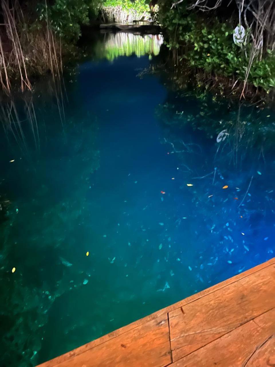 Cabanas Tulum - Aldea Mangle & Cenote Bagian luar foto
