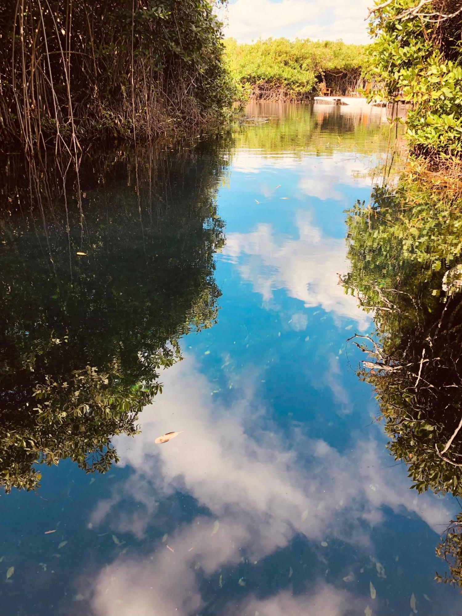 Cabanas Tulum - Aldea Mangle & Cenote Bagian luar foto