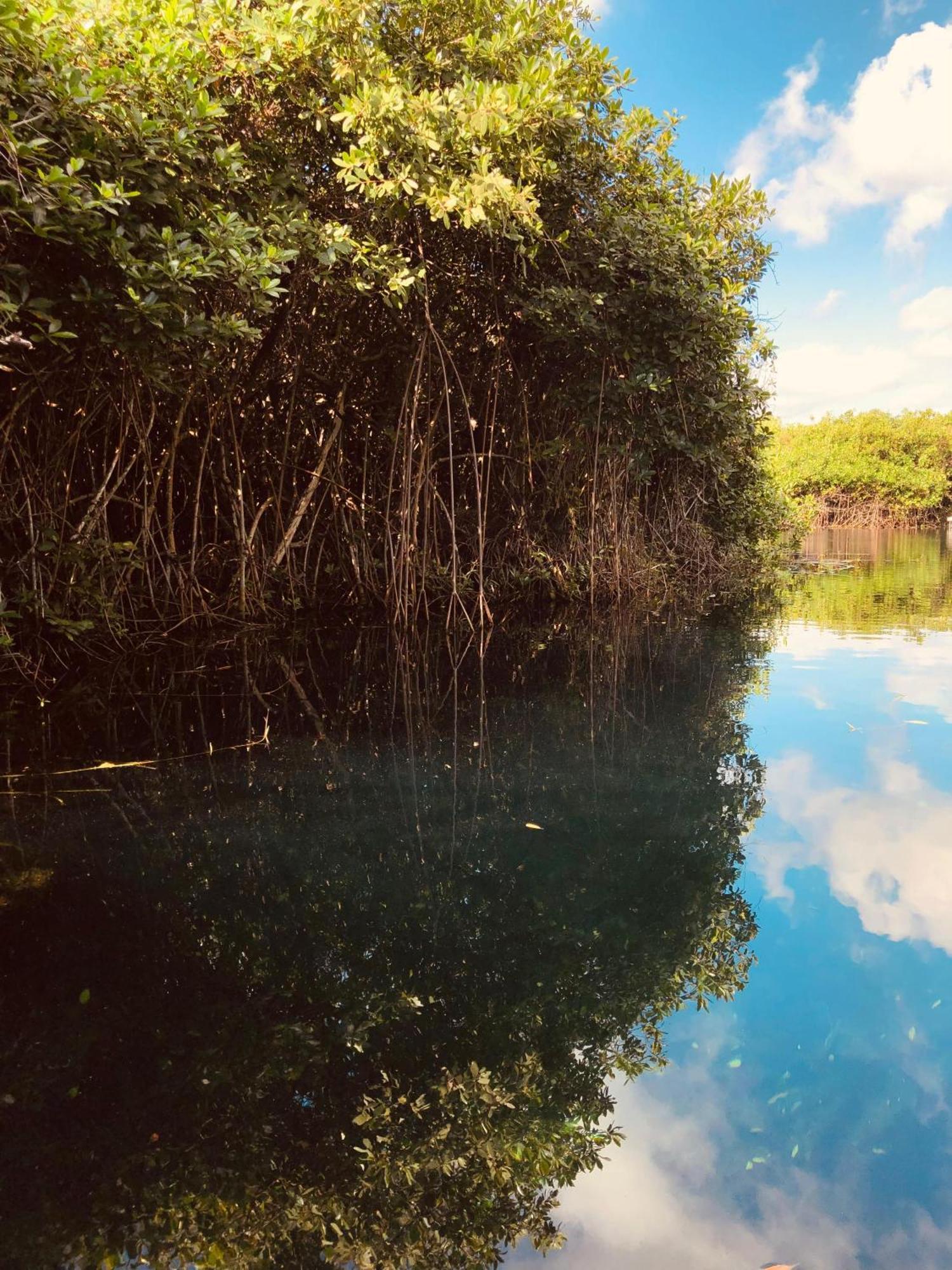 Cabanas Tulum - Aldea Mangle & Cenote Bagian luar foto
