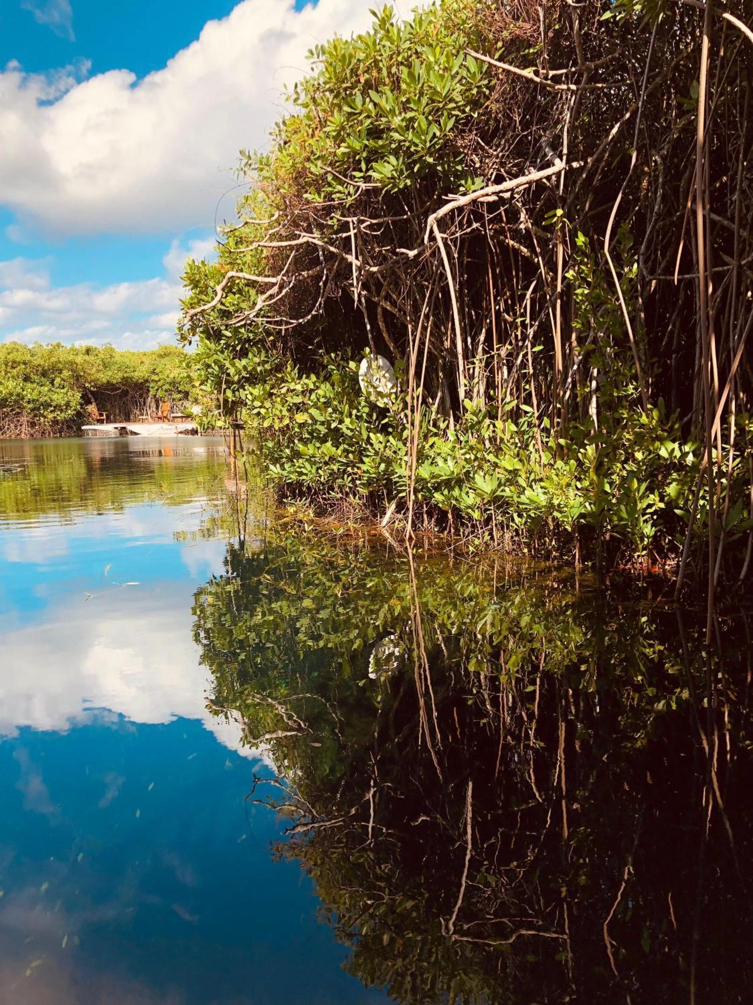 Cabanas Tulum - Aldea Mangle & Cenote Bagian luar foto