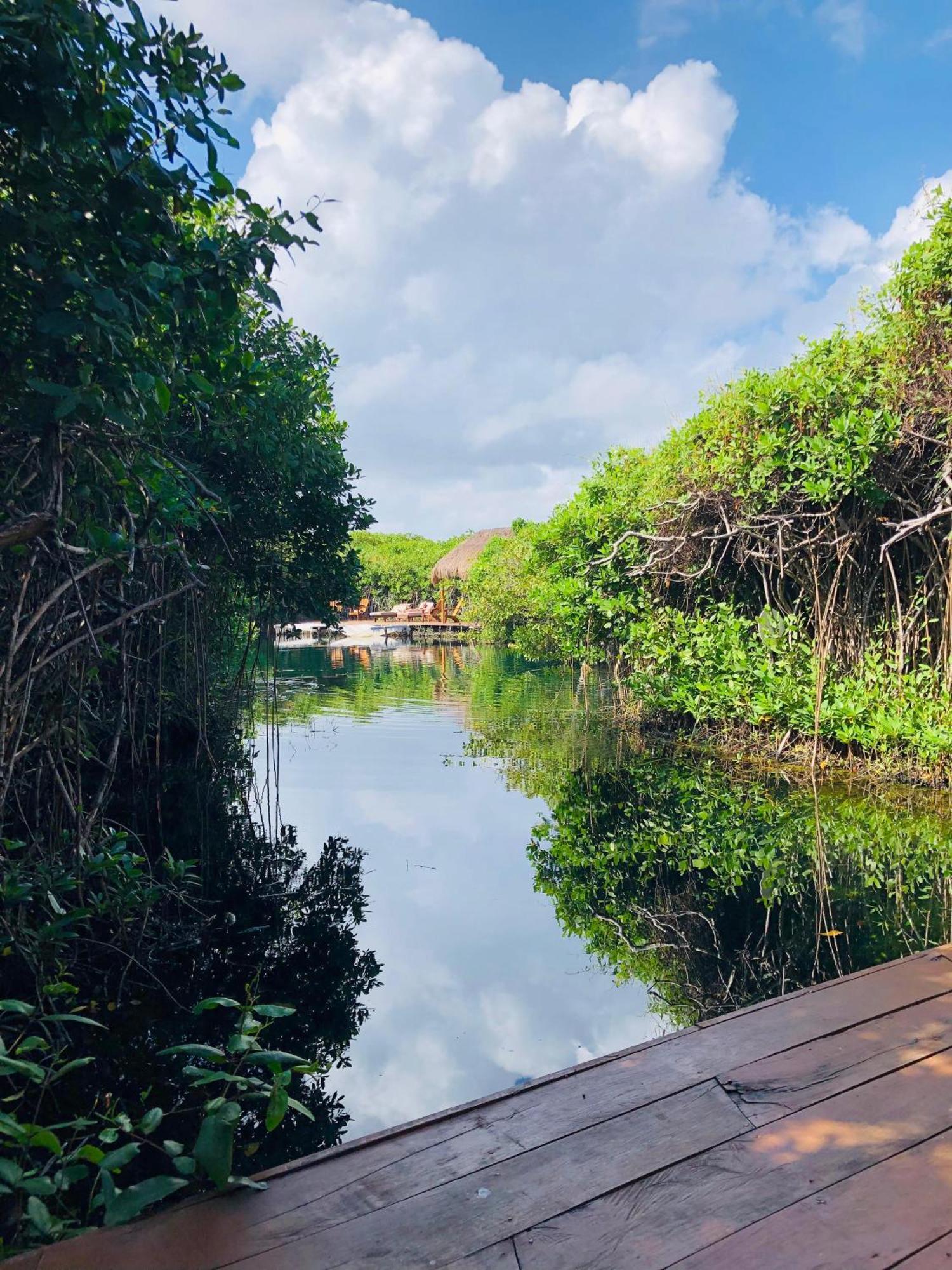 Cabanas Tulum - Aldea Mangle & Cenote Bagian luar foto