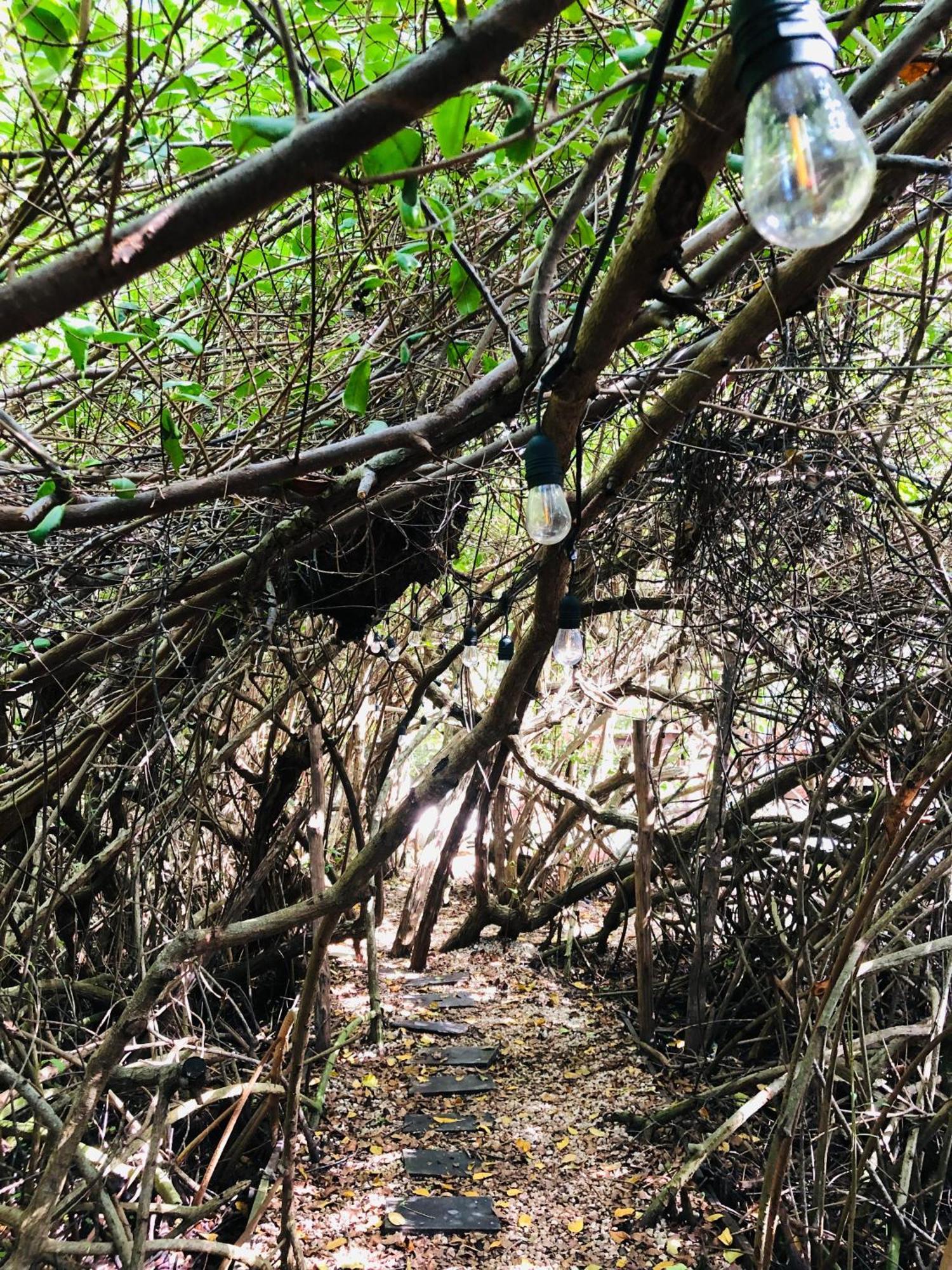 Cabanas Tulum - Aldea Mangle & Cenote Bagian luar foto